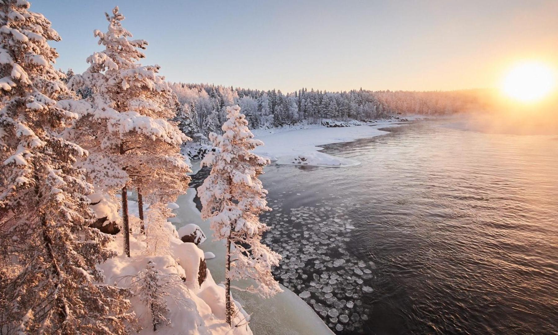 Skog Aurora Igloos Villa คาลิกซ์ ภายนอก รูปภาพ