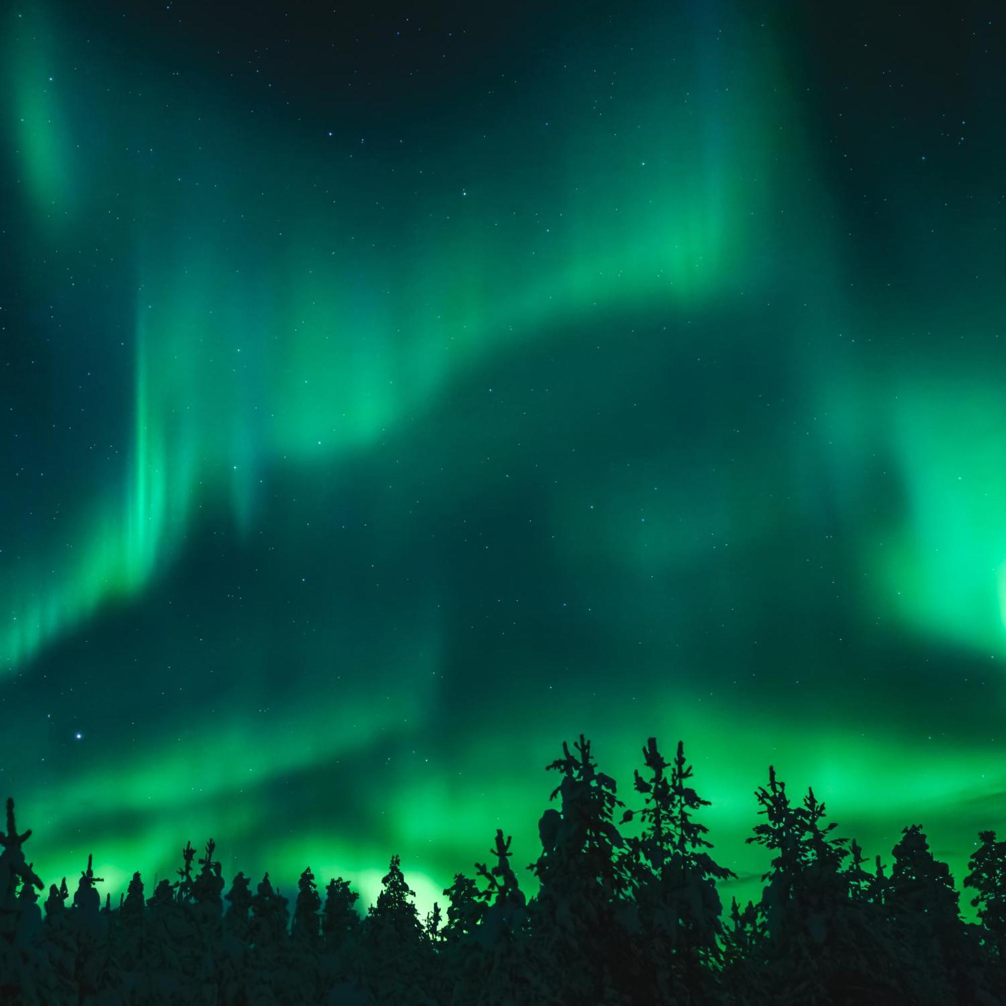 Skog Aurora Igloos Villa คาลิกซ์ ภายนอก รูปภาพ