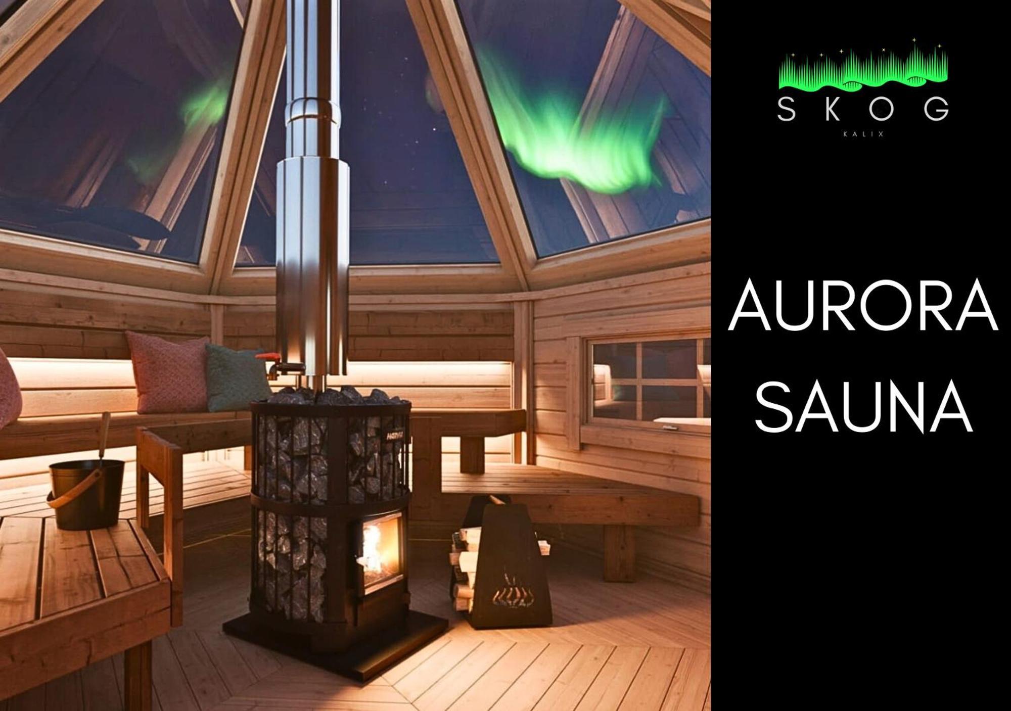 Skog Aurora Igloos Villa คาลิกซ์ ภายนอก รูปภาพ