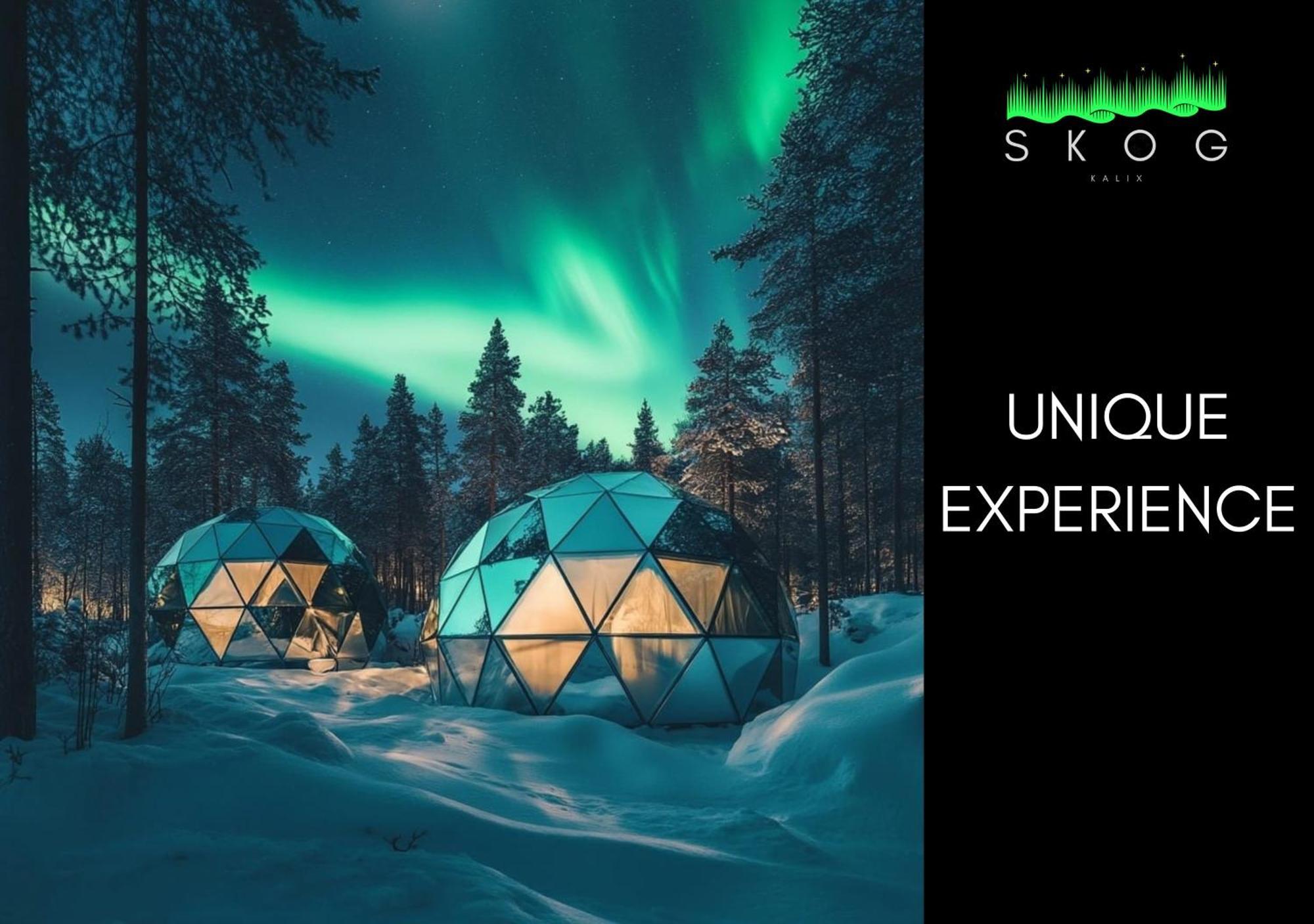 Skog Aurora Igloos Villa คาลิกซ์ ภายนอก รูปภาพ