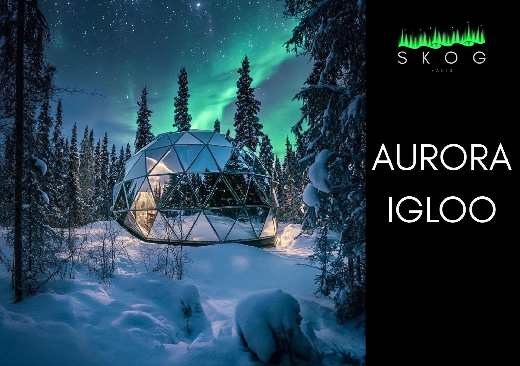 Skog Aurora Igloos Villa คาลิกซ์ ภายนอก รูปภาพ