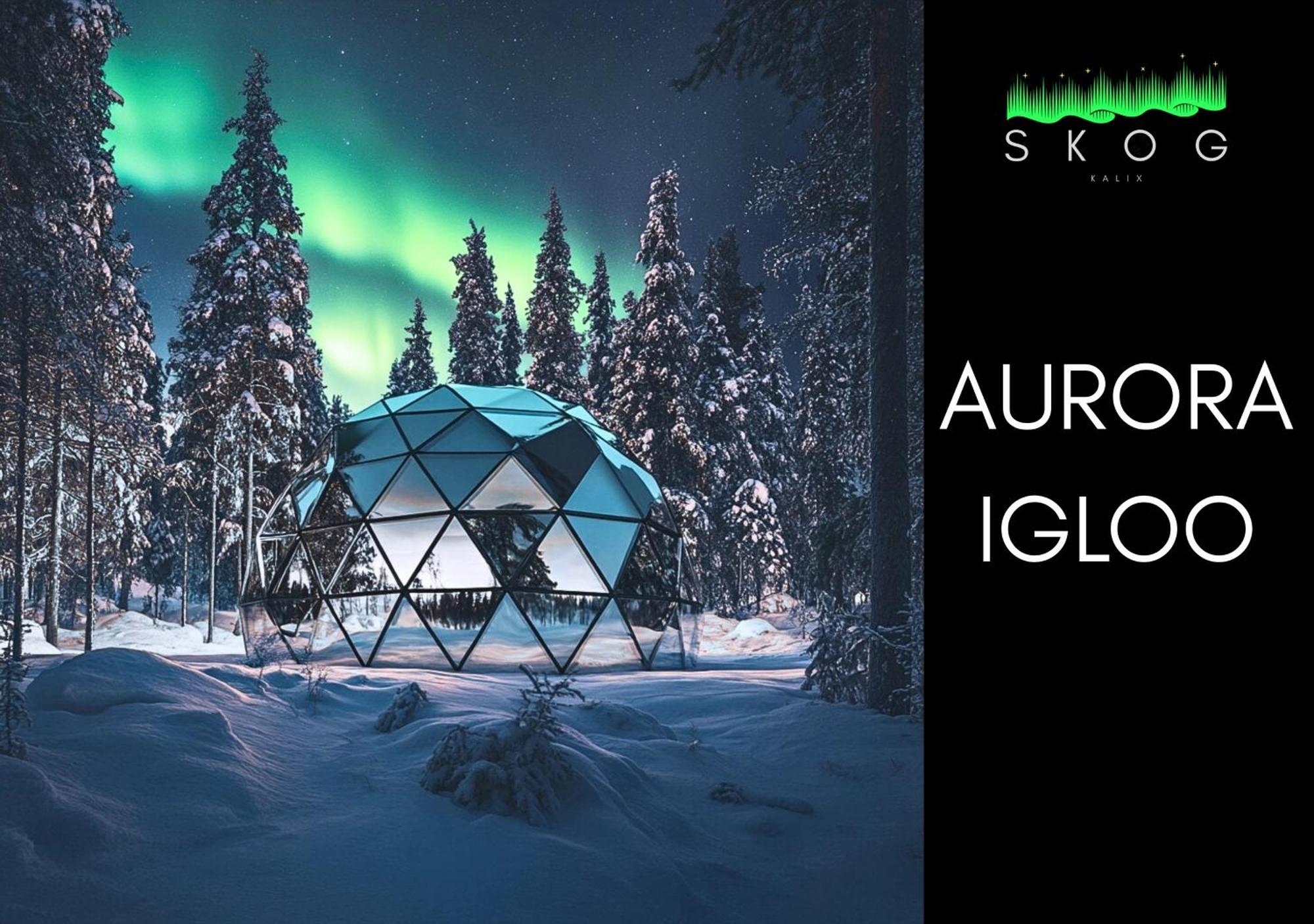 Skog Aurora Igloos Villa คาลิกซ์ ภายนอก รูปภาพ