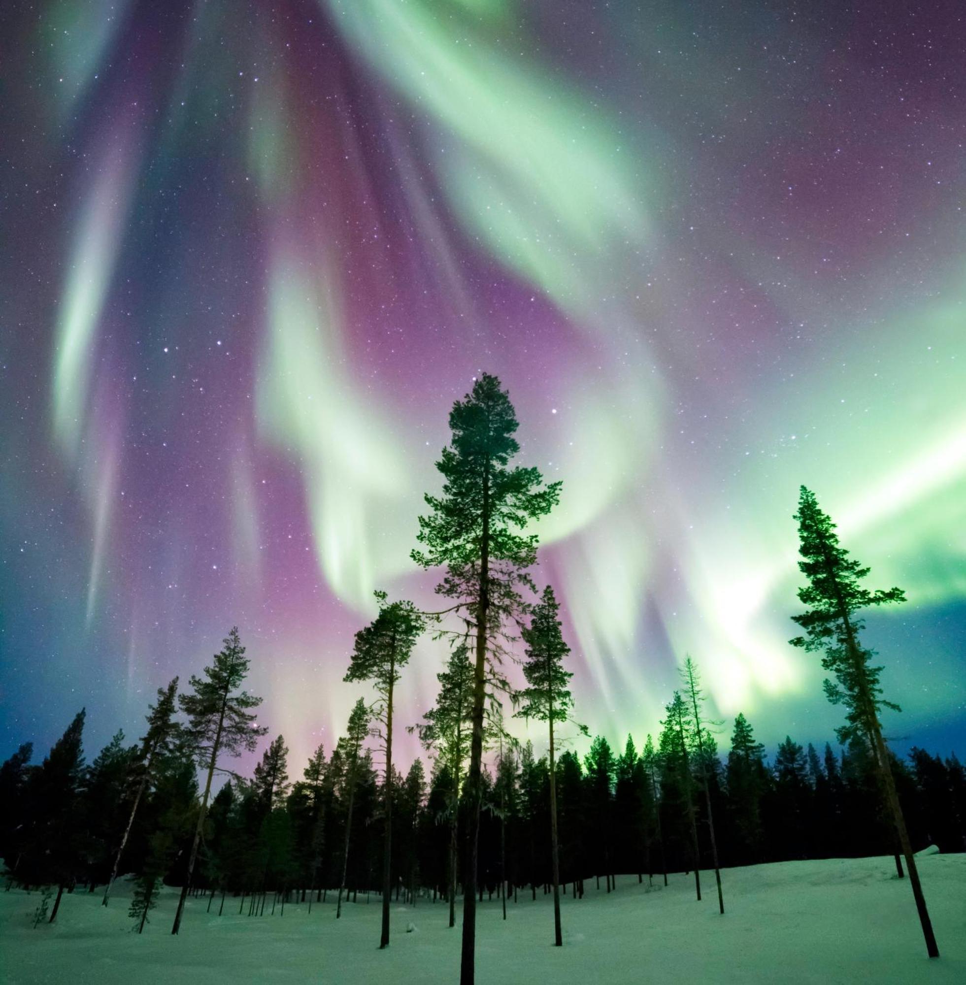 Skog Aurora Igloos Villa คาลิกซ์ ภายนอก รูปภาพ