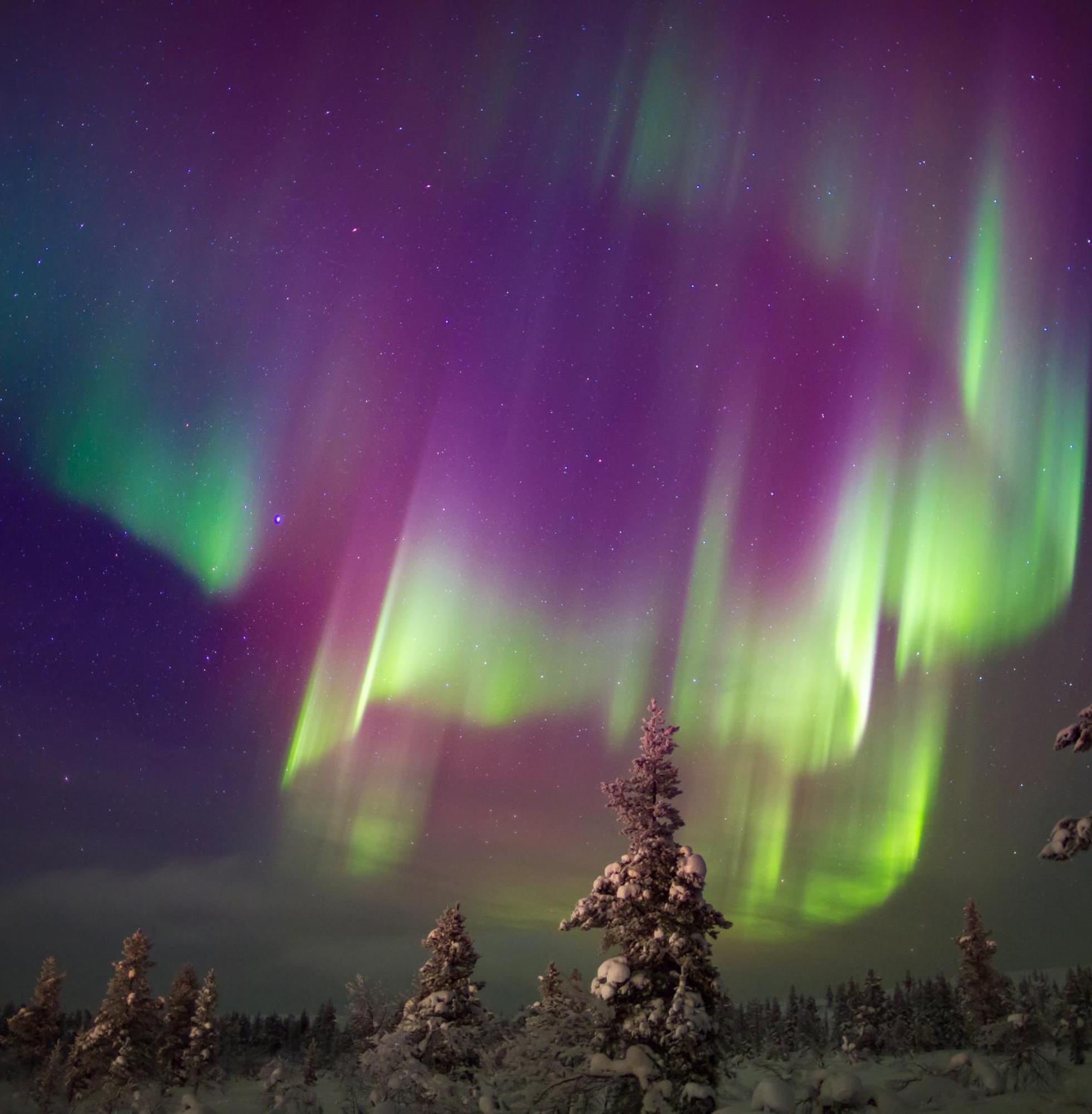 Skog Aurora Igloos Villa คาลิกซ์ ภายนอก รูปภาพ