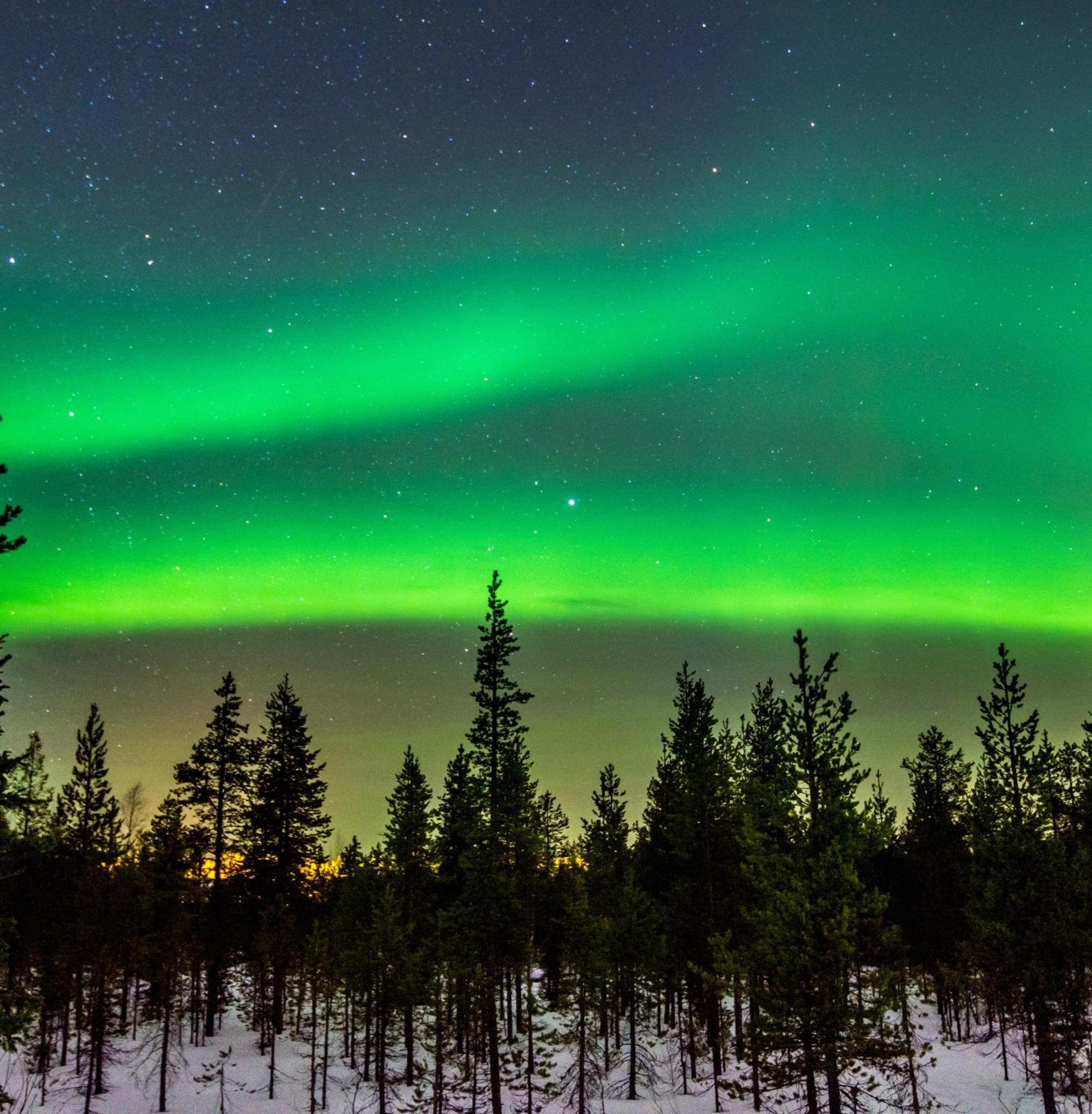 Skog Aurora Igloos Villa คาลิกซ์ ภายนอก รูปภาพ