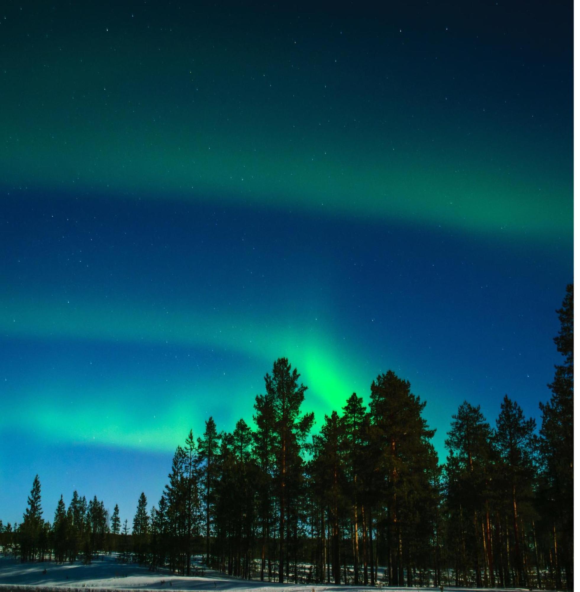 Skog Aurora Igloos Villa คาลิกซ์ ภายนอก รูปภาพ
