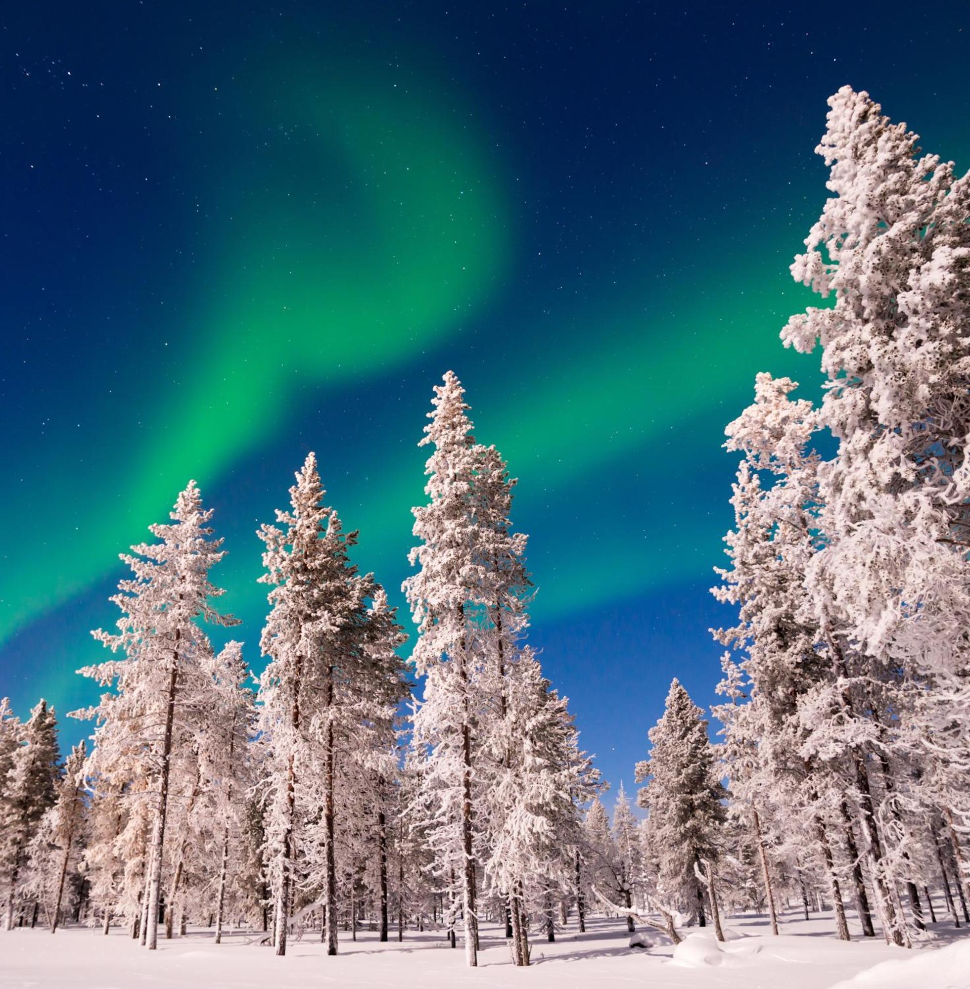 Skog Aurora Igloos Villa คาลิกซ์ ภายนอก รูปภาพ