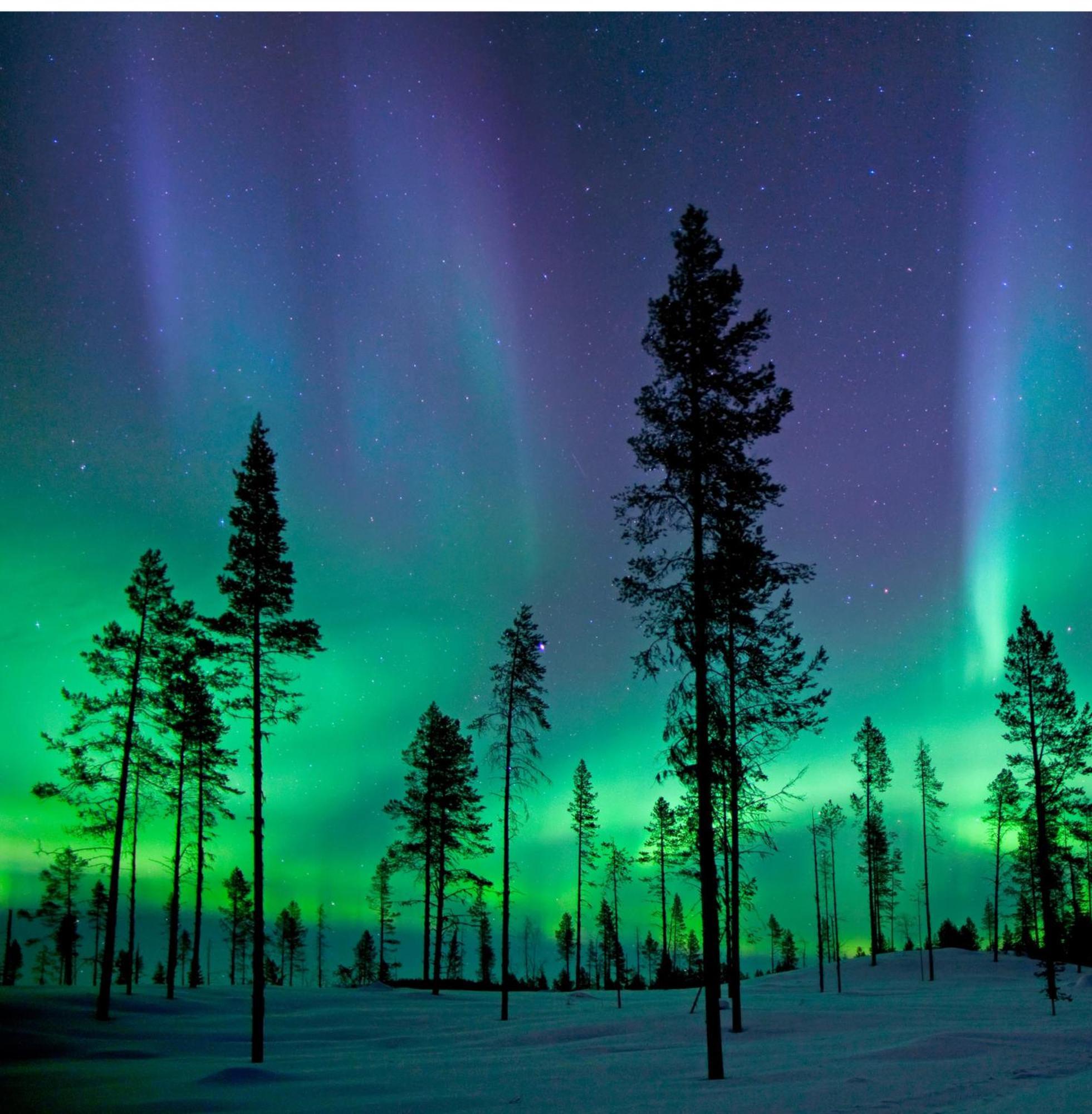 Skog Aurora Igloos Villa คาลิกซ์ ภายนอก รูปภาพ