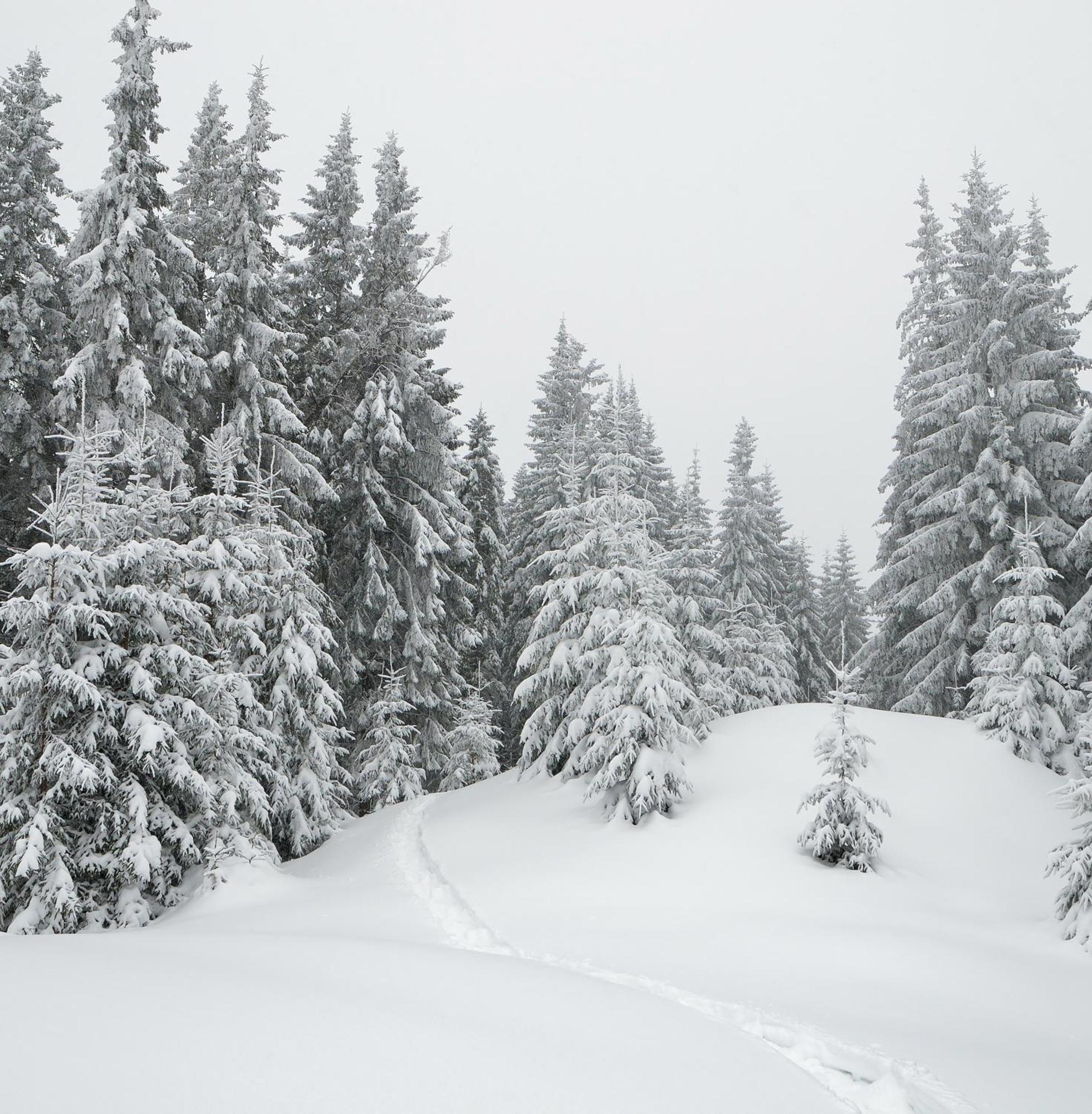 Skog Aurora Igloos Villa คาลิกซ์ ภายนอก รูปภาพ