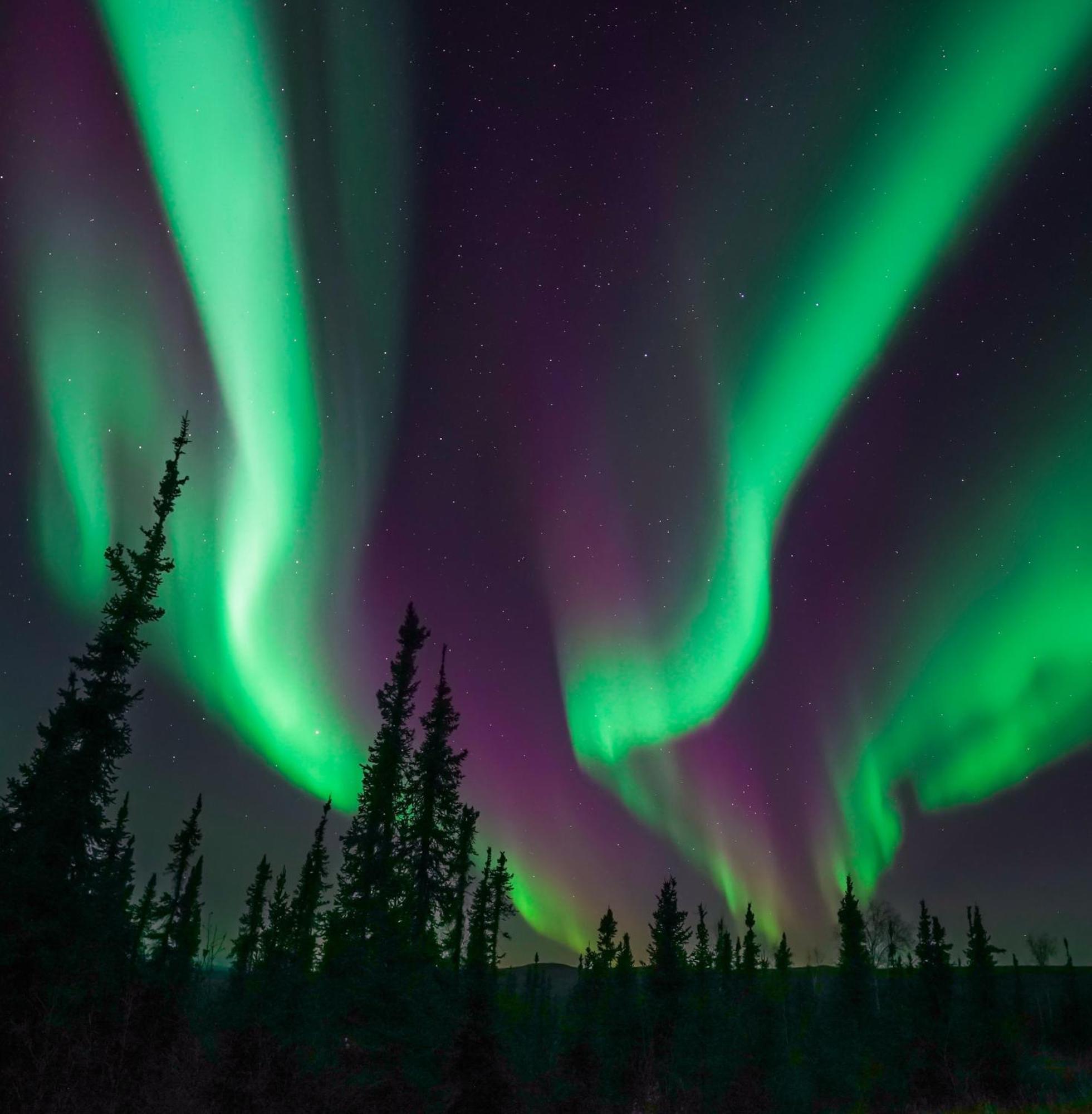 Skog Aurora Igloos Villa คาลิกซ์ ภายนอก รูปภาพ