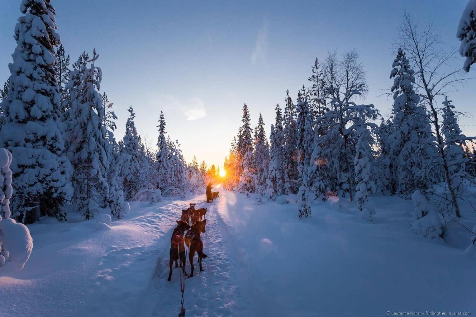 Skog Aurora Igloos Villa คาลิกซ์ ภายนอก รูปภาพ