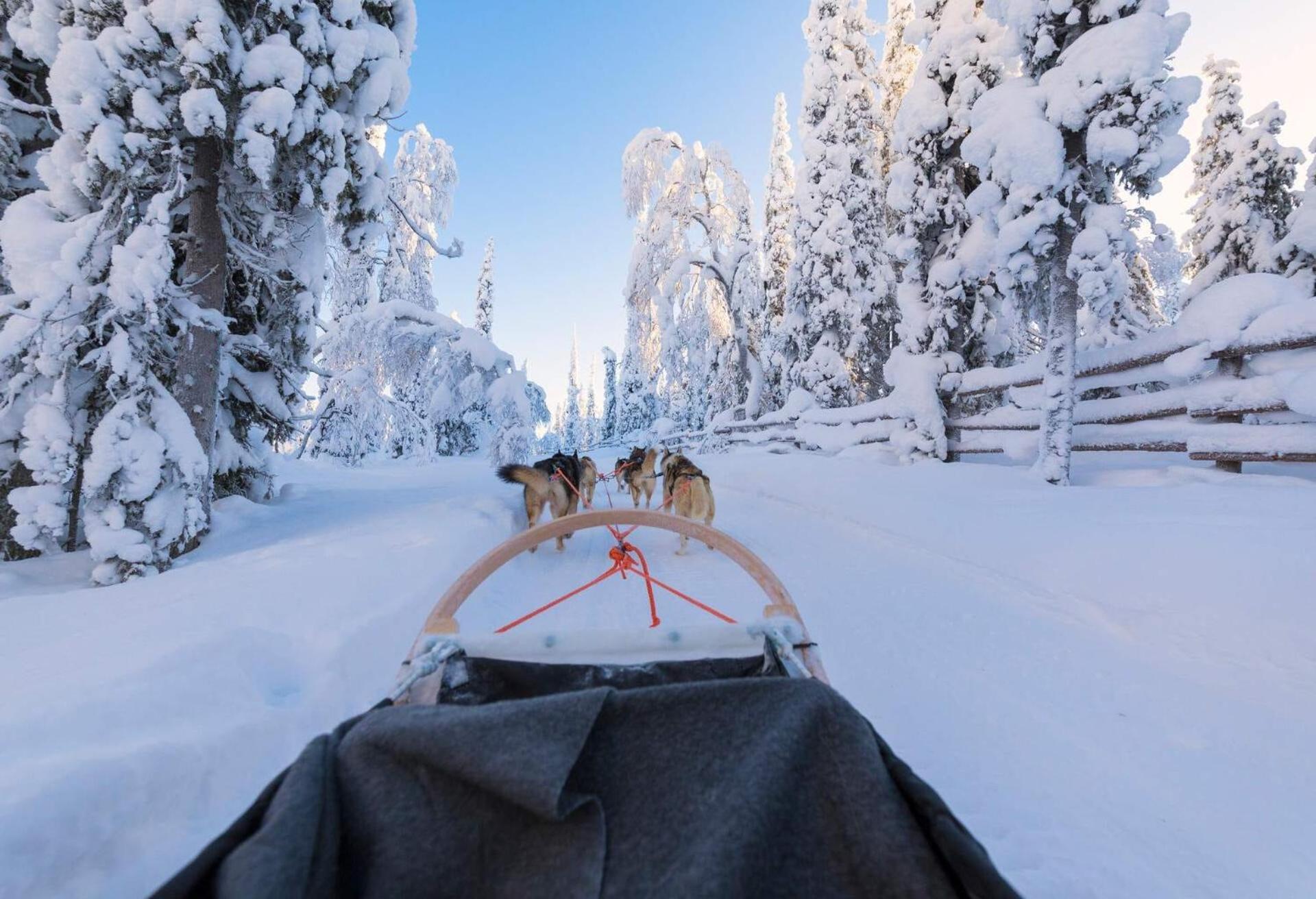 Skog Aurora Igloos Villa คาลิกซ์ ภายนอก รูปภาพ