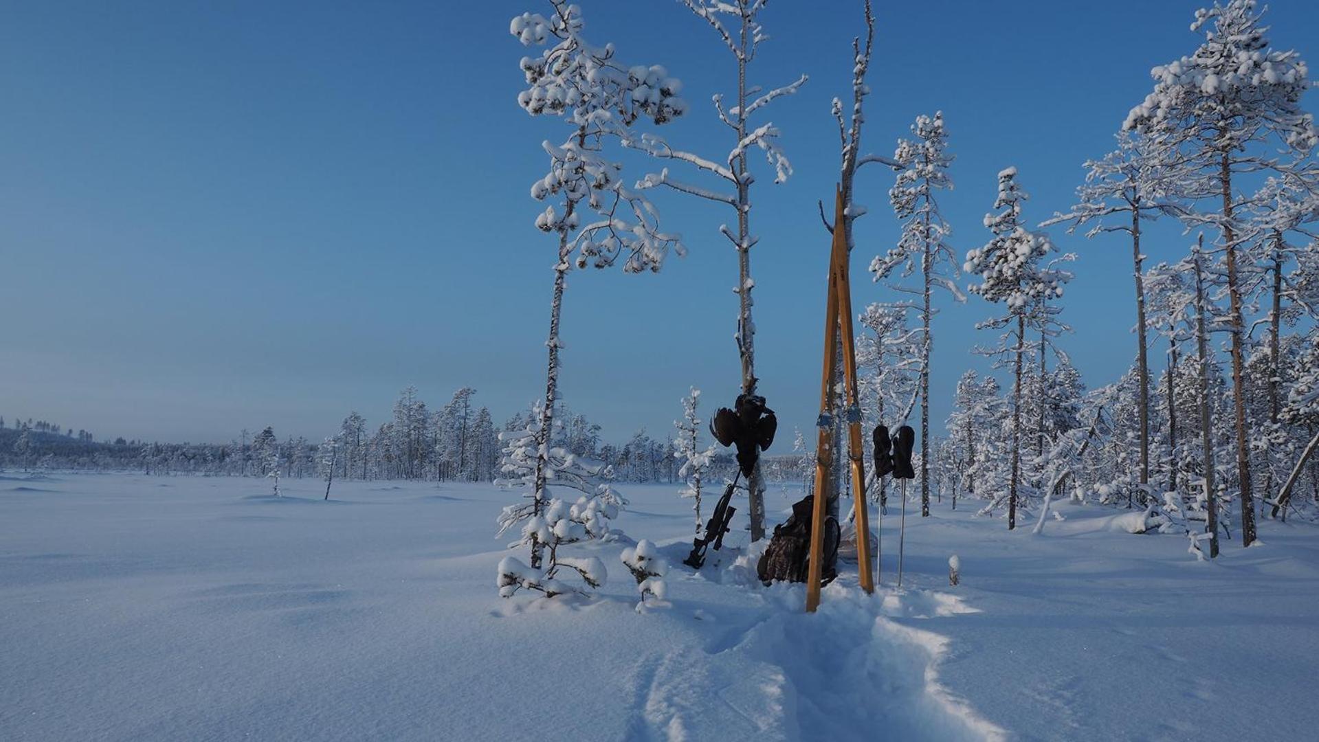 Skog Aurora Igloos Villa คาลิกซ์ ภายนอก รูปภาพ